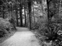 Path modified