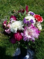 Birthday Flowers for Kayln today