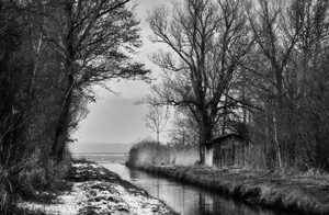 blackandwhite